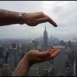 Lee Sheldon - @sheldious - Instagram