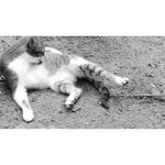 Sheldon - @lee_sheldon_ - Instagram