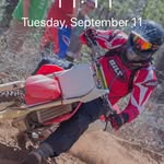 Lee Shepard - @leeslikes - Instagram