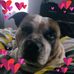 Lee Shephard - Facebook