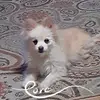 Leesher - @leesher03 - TikTok