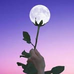 Lee Shelin - Facebook