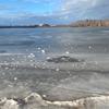 Leesimons - @mnadine54 - TikTok