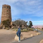Lee Simpson - @leesimpson1961 - Instagram
