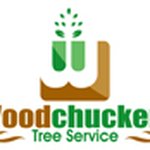 Lee Singleton - @woodchuckerstreeserviceinc - Instagram