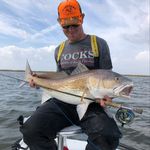 Lee Singleton - @leesingleton31 - Instagram