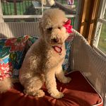 Lee Sisk - @sisk8955 - Instagram