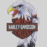Lee Sisk - @sisk.lee - Instagram