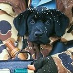 Lee Slate - @leeslate - Instagram