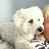 Bella boo 🐶🩷 - @leeslater56 - TikTok