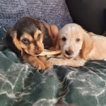 Lee Slater - @lee_allan_slater - Instagram