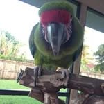 Lee Sloan - @leesloan1004 - Instagram