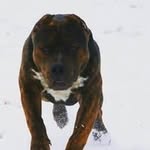 Lee Sloan - @master.l.sloan - Instagram