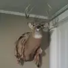 Lee Smith - @leesmith342 - TikTok
