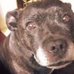 Lee Speakman - @speakmanlee - Instagram