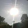 Dannalee Stauffer - @dannaleestauffer - TikTok