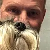 Lee Stephens - @leestephens17 - TikTok