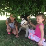 Lee Stephens - @leestephens1974 - Instagram
