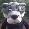 Lee Stephens - @lee.stephens08 - TikTok