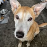 Lee Stephens - @lee.stephens.165 - Instagram