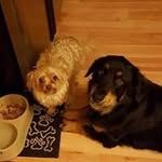 Lee Stillman - @lee.stillman.1 - Instagram