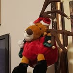 Lee Stock - @lee.stock.90 - Instagram