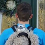 Lee Stock - @leeford_stockman - Instagram