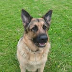 Lee Stock - @leestock1 - Instagram