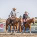 Lee Stock Horses - Facebook