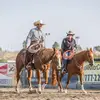 Lee Stock Horses - @leestockhorses - TikTok