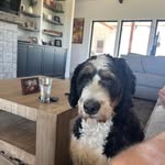 Lee Stockwell - @leestockwell - Instagram