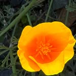 Lee Stoner - @leestoner74 - Instagram