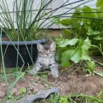 Lee Stoner - @melasepdx - Instagram