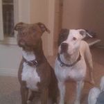 Aaron Lee Swenson - @swenson_aaron - Instagram