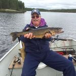 Lee Swenson - @lee.swenson.3 - Instagram
