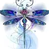 Lee Tapia - @lee.tapia2 - TikTok