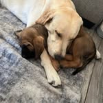 Michele Lee Templeton - @templetonmichele - Instagram