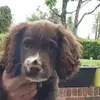 Lee Thrower - @leethrower - TikTok