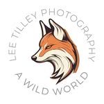 Lee Tilley - @leetilleyphotography - Instagram