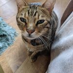 Lee toms - @toms8813 - Instagram