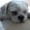 Lee Toms - @lee.toms5 - TikTok