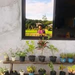 Jess Lee Torno Bacani - @leejess.inacab - Instagram