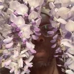 Le.eto - @leeto_thale - Instagram