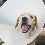 Murphy Lee Totten - @murphy_n_friends - Instagram