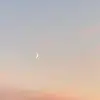 trinklee - @trinkleee - TikTok