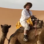 Lee Tuttle - @lee_tuttle - Instagram