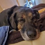 Lee VanMeter - @lee.vanmeter.37 - Instagram