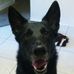 Lee Vanover - Facebook