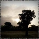 Ivan Guillemette - @leevolkmancuj - Instagram