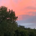 Lee Frame Vossler - @leevossler - Instagram